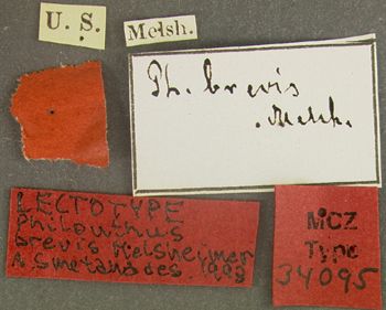 Media type: image; Entomology 34095   Aspect: labels